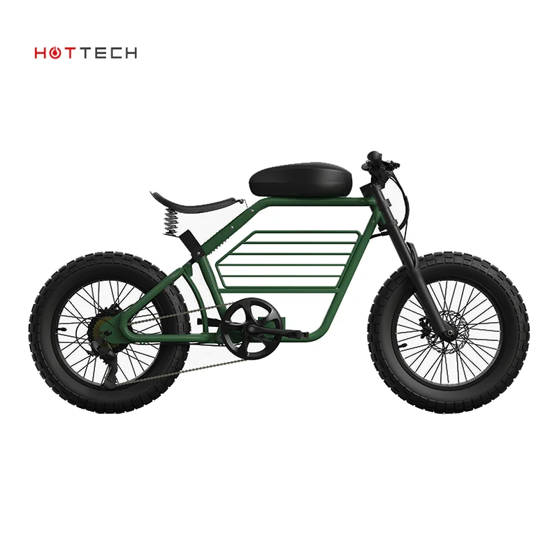 

Hottech 7-Speed Retro E-Cargo Electric Bike Family-Friendly 500W 20 Inch Fat Tire 20ah Rear Carrier Battery Hot Sale