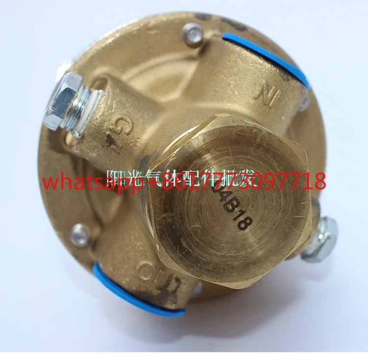 LNG gas cylinder accessories imported REGO Shengdain regulator valve regulator