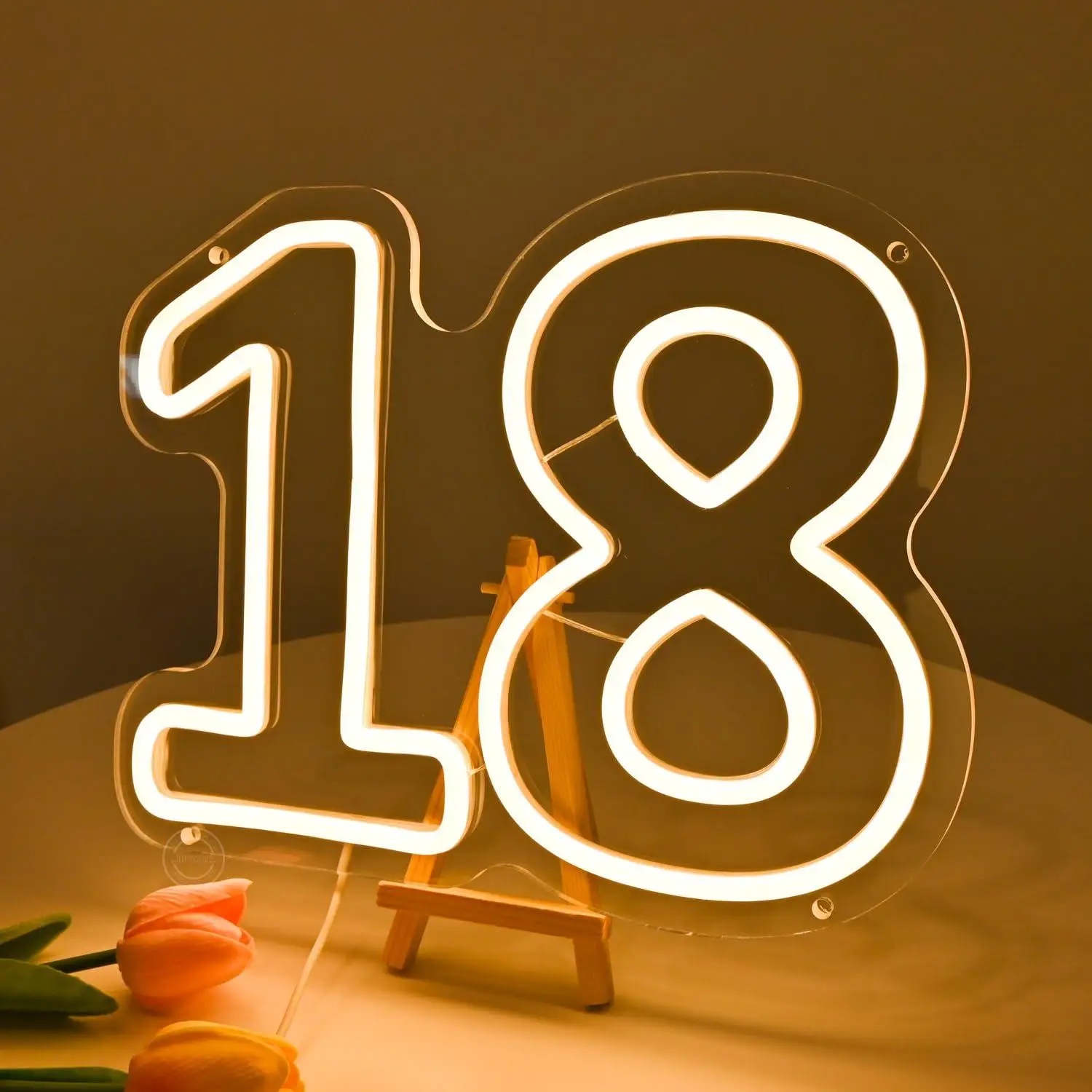 Number 18 Neon Sign USB Dimmable LED Lights For 18th Birthday Party Celebration Venue Photo Backdrop Anniversary Wall Decor Gift