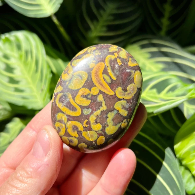 1pc Natural Fruit Jasper Palm Stone, Featuring Polished Surfaces And Distinctive Patterns
