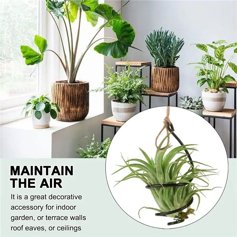 AT29-Air Pineapple Hook Hanging Flower Stand Pots Display Hanger Holder Iron Flower Stand Display 1Set