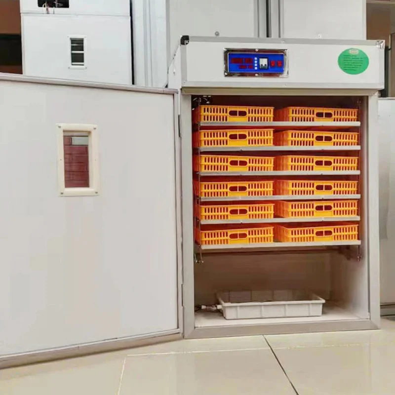 

Large Egg 19712 Model New High Productivity Chicken Turkey Incubator 99% Hatching Rate Automatic Turning For