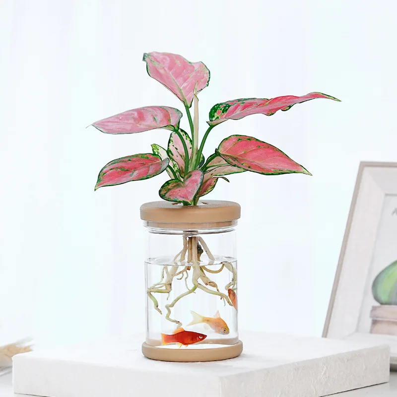 1pc Transparent Hydroponic Flower Pot Green Plant Soilless Vase Simple Style Plant Flower Vase Gardening Accessories