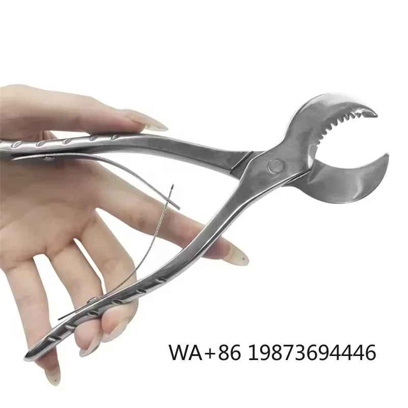 

Stainless Steel Serrated Dental Pliers Plaster Forceps