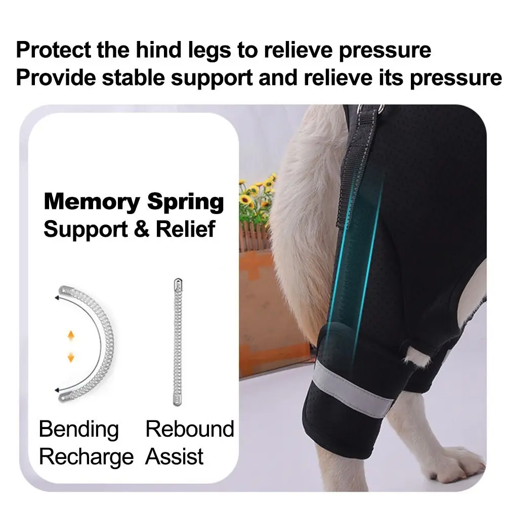 Pernas suporte de quadril para cães, arnês preto com alça resistente, suporte traseiro para pernas, ajustável, respirável, ferramenta de assistência para animais de estimação