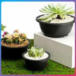 Plastic Round Succulent Flower Pots New Chunky Korean-style Large Succulent Pot Degradable Corrosion-resistant Textured Planter