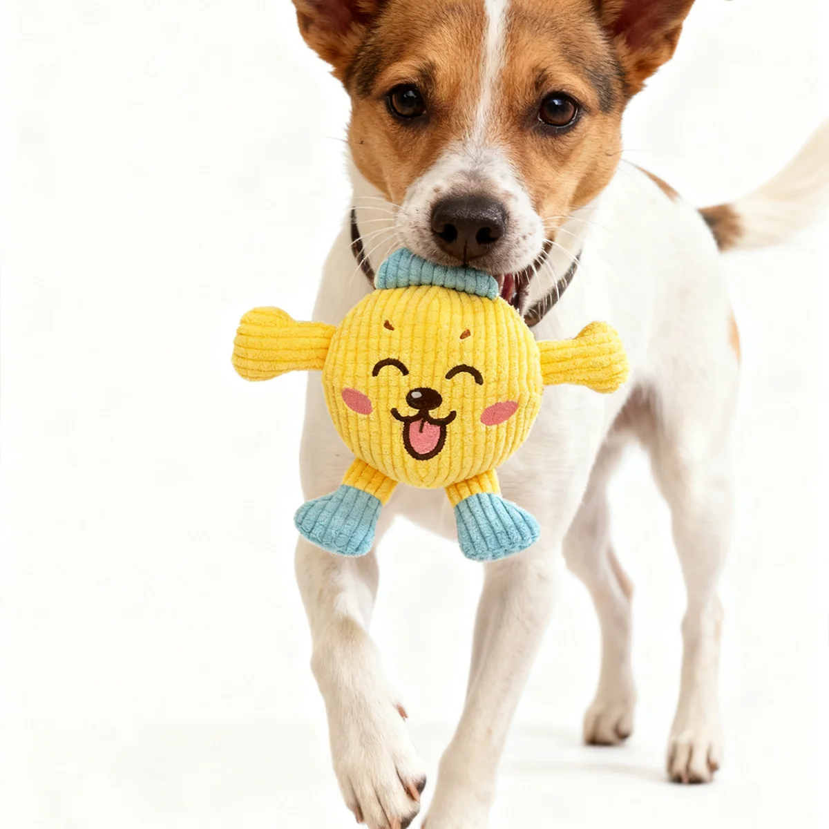 Ensemble de jouets en peluche  - Interactive Squeaky Plush Dog Toy avis et prix