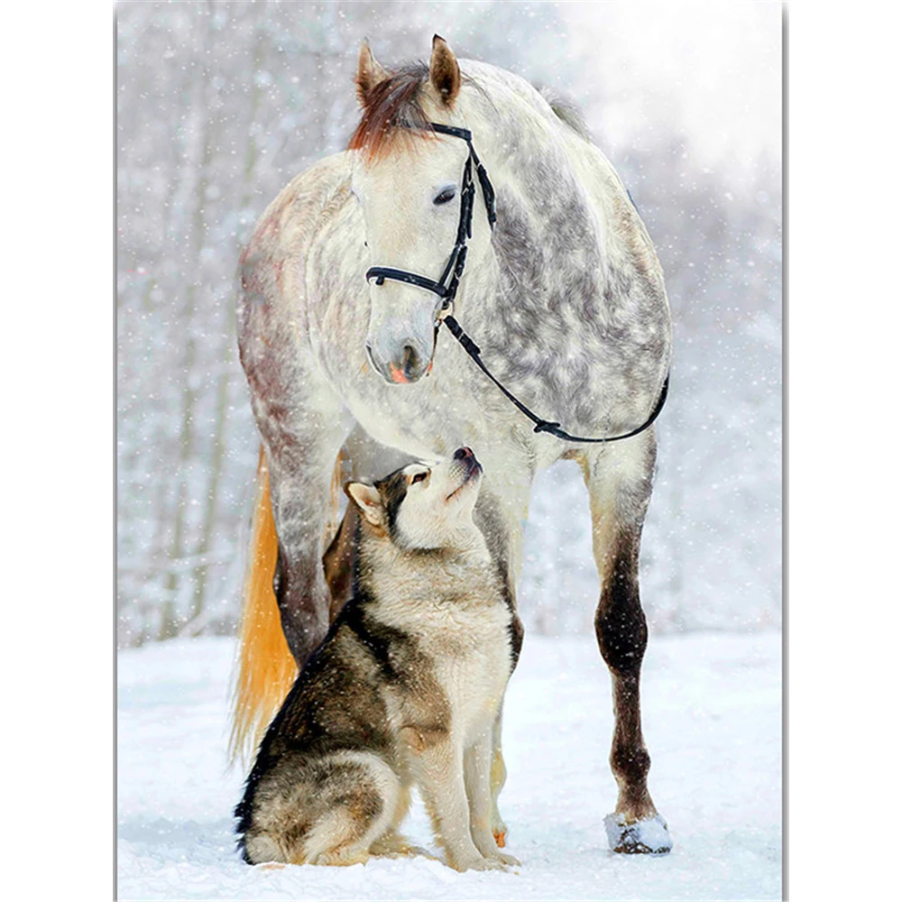 Animal Dog Husky DIY 11CT Cross Stitch Embroidery Kits Craft Needlework Set Printed Canvas Cotton Thread Home    Dropshipping