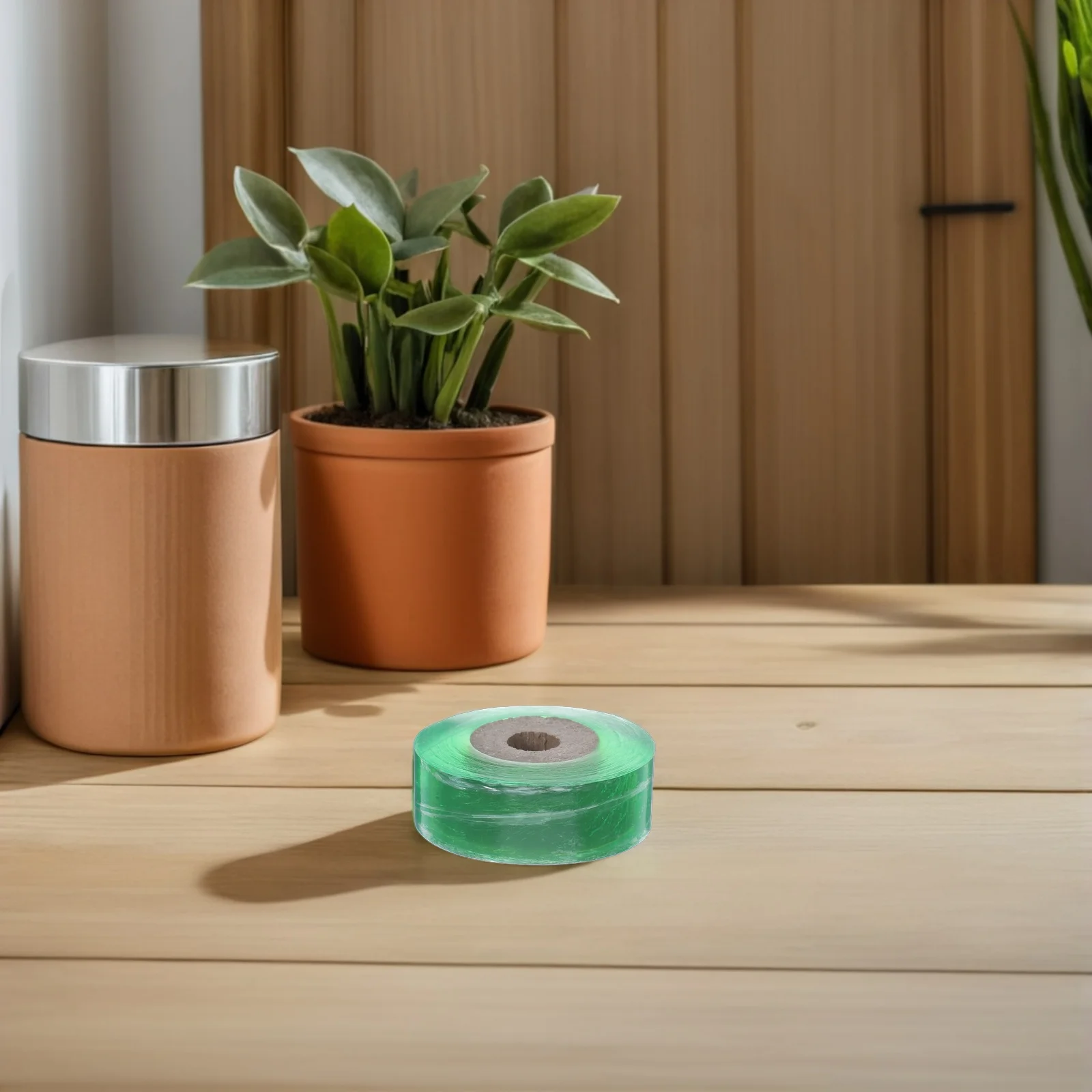 

10 Pcs Grafting Film Plants Repair Tapes Growth Stretching for Fruit Trees Nursery