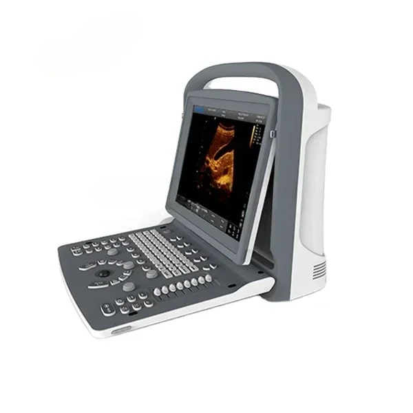 ultrasound price black and white portable ultrasound for men B/W medical 2D portable scanner ultrasound machine