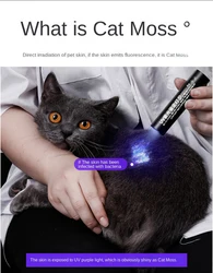 Wood's Lamp Tinea Urinalis/fungi Test Cat/dog Moss Test Flashlight Special Lamp for Detecting Ultraviolet Fluorescence Agent