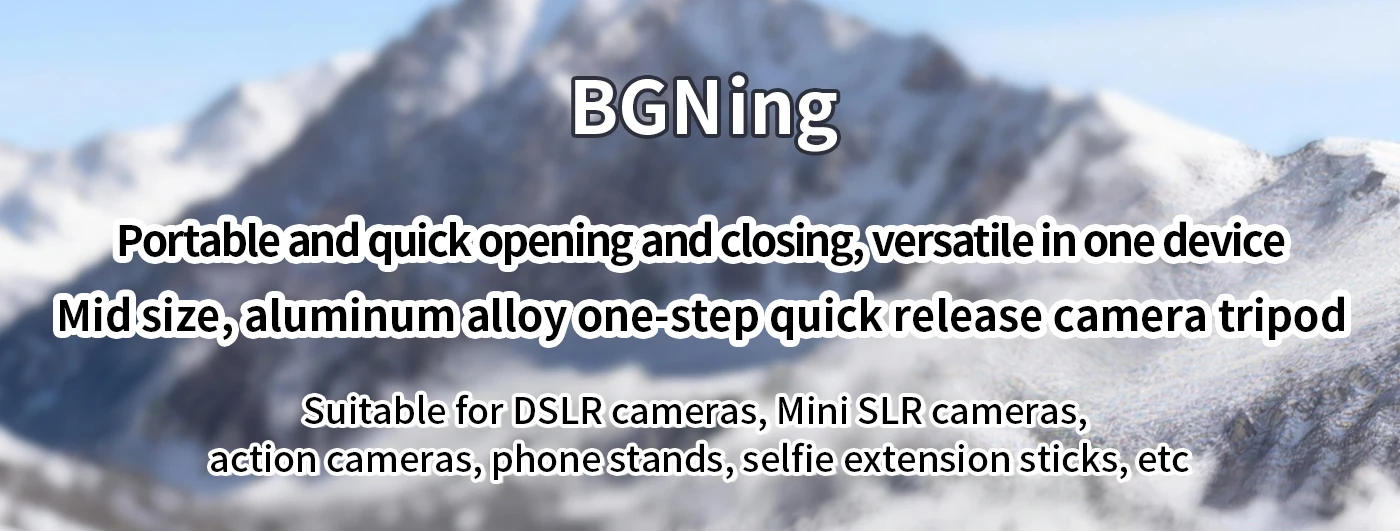 Mini-Vlog-Stativhalterung mit 1/4-Zoll-Adapter für Gopro Insta360 X6 X5 Air OSMO 360 II Action 5Pro Einbeinstativ Selfie-Stick-Stange – Detail 1