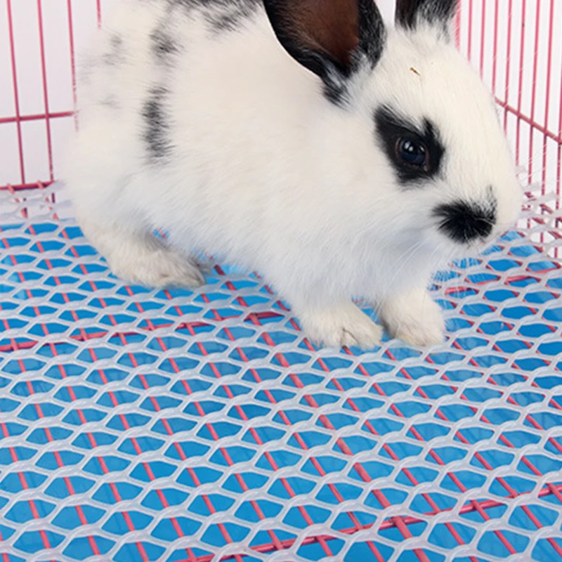 Plastic Mesh Rabbit Foot Pads Holland Pig Totoro Dolphin Dung Leak Plate Pet Cage Foot Pads Hamster Cage Can Be Assembled Trays image 2
