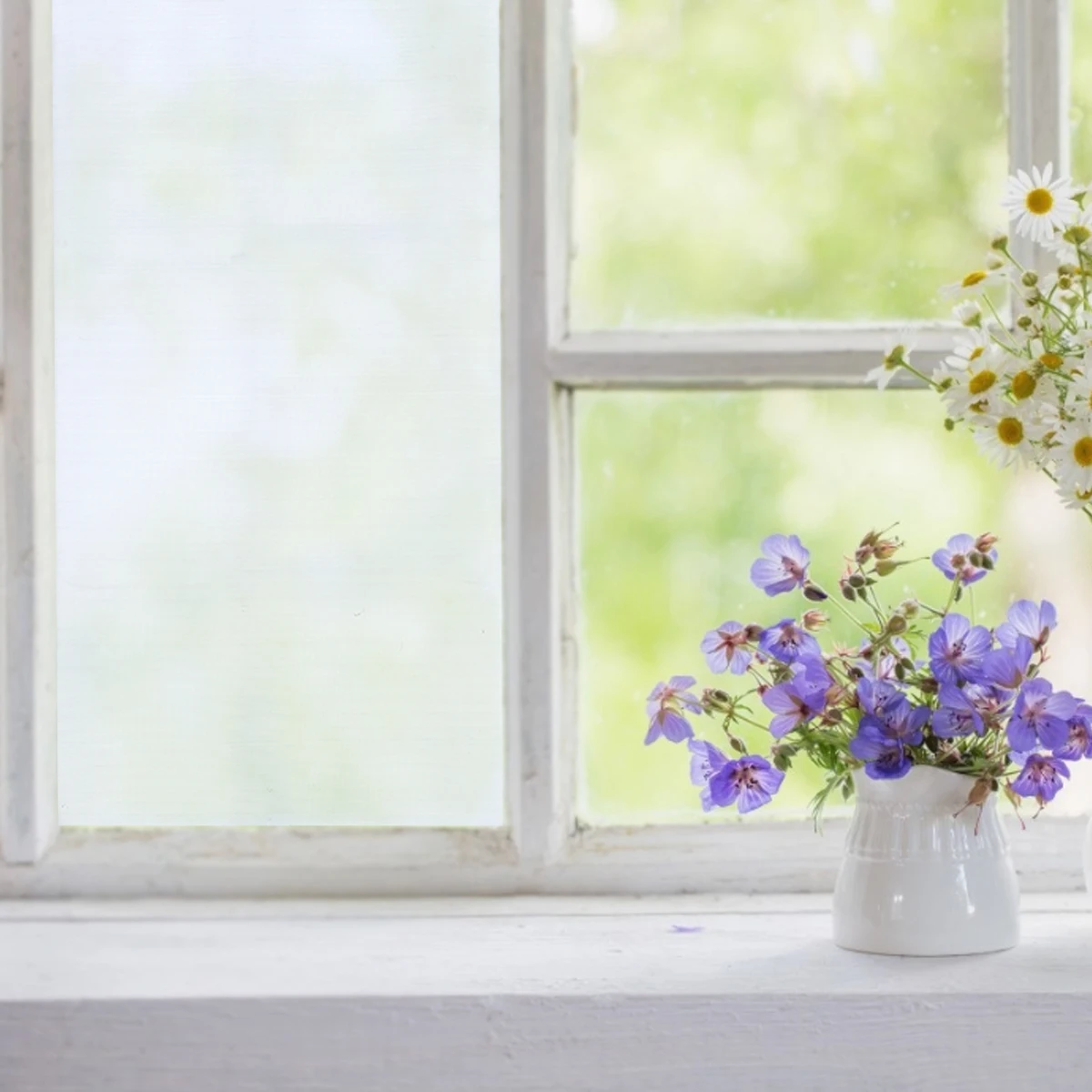 

Anti-Mosquito Screen Window Net Durable Protection Glass Fiber Mesh Barrier Indoor Ventilated