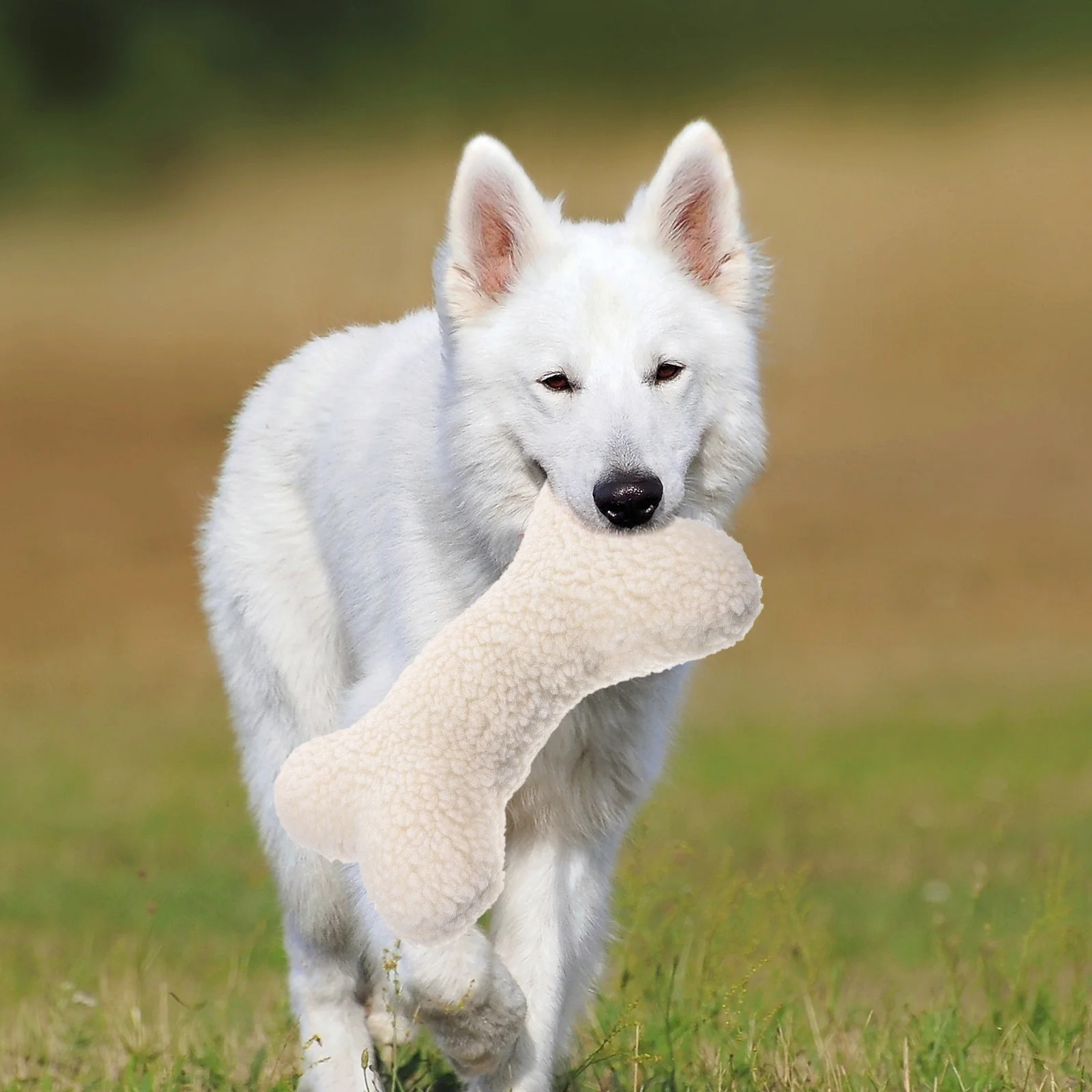 

Plush Figure Toys Wool Velvet Bone Dog Funny Chew for Puppies Squeaky Beige Interactive Travel