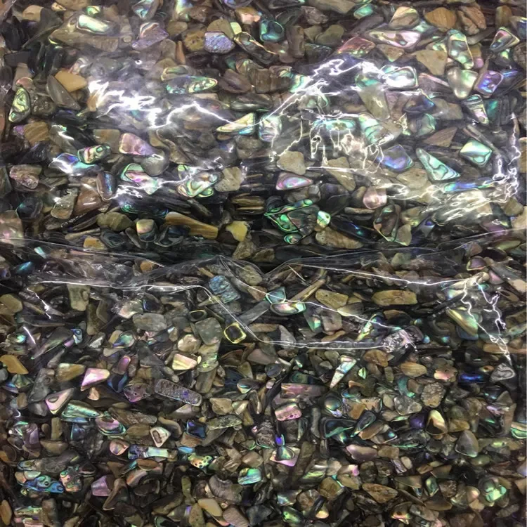 1Kg/Bag Nail Shell Fragments Japanese Shell Stones Natural Abalone Fragments Nail Decorations DIY Accessories