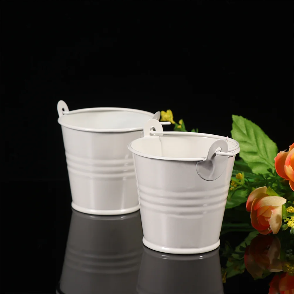 12 Pcs Planter Pots Small Iron Bucket Compact Flower Mini Craft White Simple Child