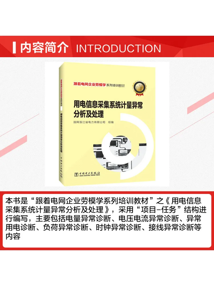 Book-Winshare Analysis and Handling Of Metering Exceptions in the Electricity Information Collection System