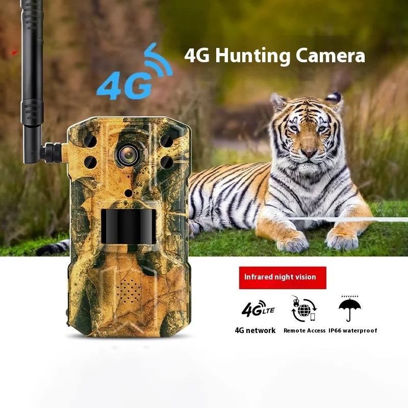 

DL-T31 4G/WIFI- Hunting Trail Camera IP65 30MP 2K Outdoor Wildlife Tracking Camera Wildlife Monitoring Photo Traps Night Vision