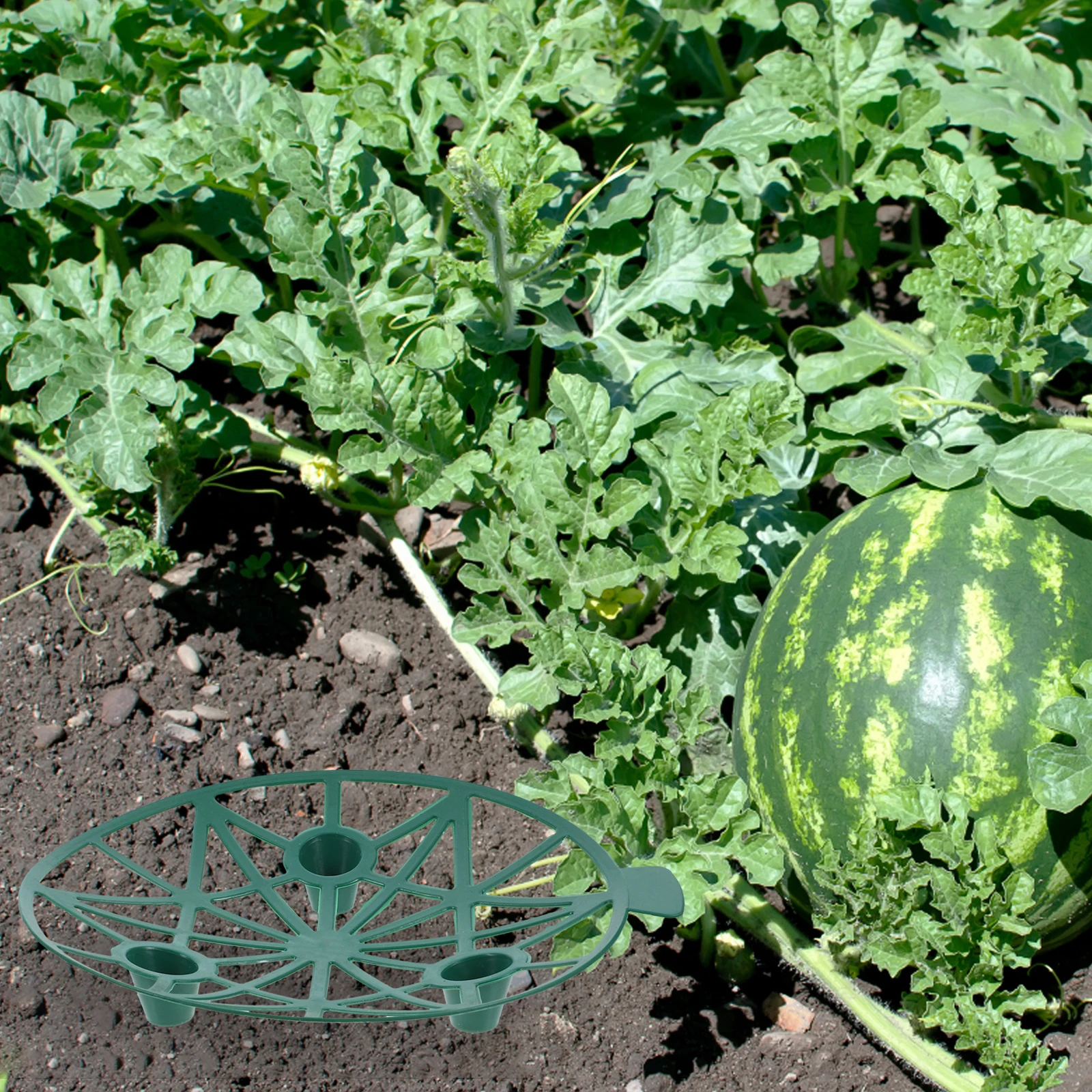 

4 Pcs Plant Fixing Rack Fruit Support Melon Stand Container Growing Frame Gardening Convenient Watermelon Supports