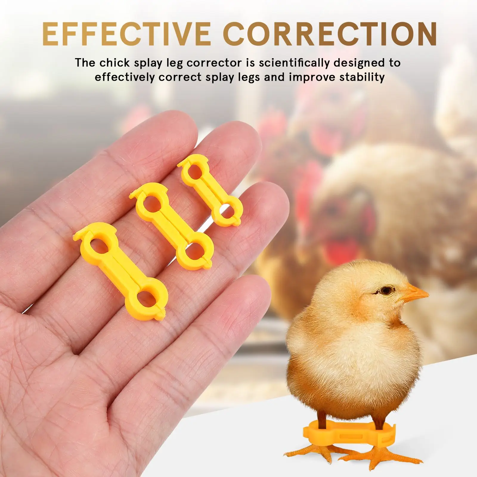 12Pcs Chick Leg Stabilizer Bird Corrector Chicken Band Leg Ring Labels Accessories Bands Supplies for Your Chickens Parrot Foot - Image 2