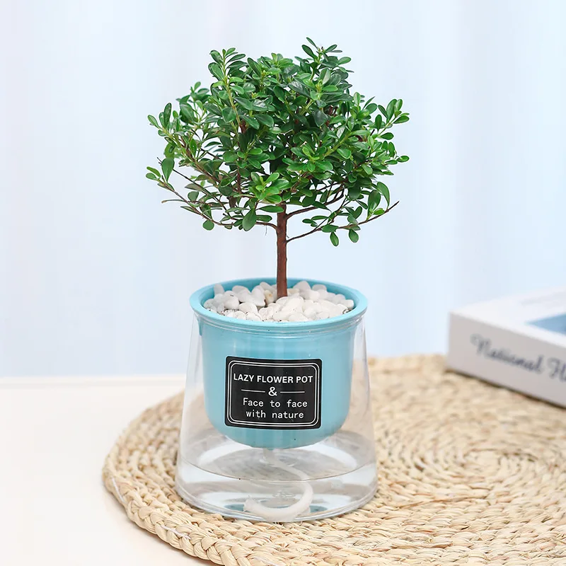 Colorful Lazy Self-Watering Plastic Flower Pot Simple Succulent Planter Resin Imitation Glass Small Creative Personalized Garden