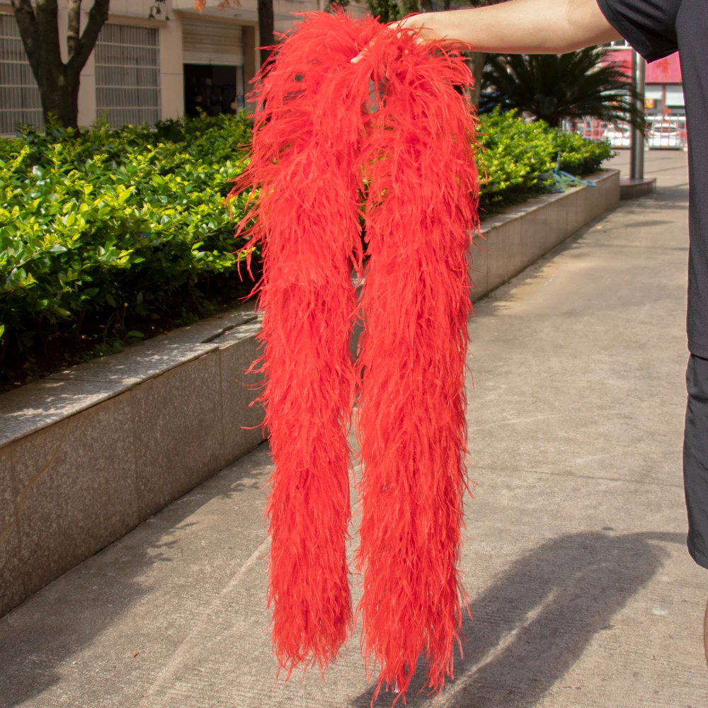 2M Natural Ostrich Feathers Boa Decoration for Wedding Party Dress Sewing Accessories Crafts Plume 1/6/10/20/35PLY