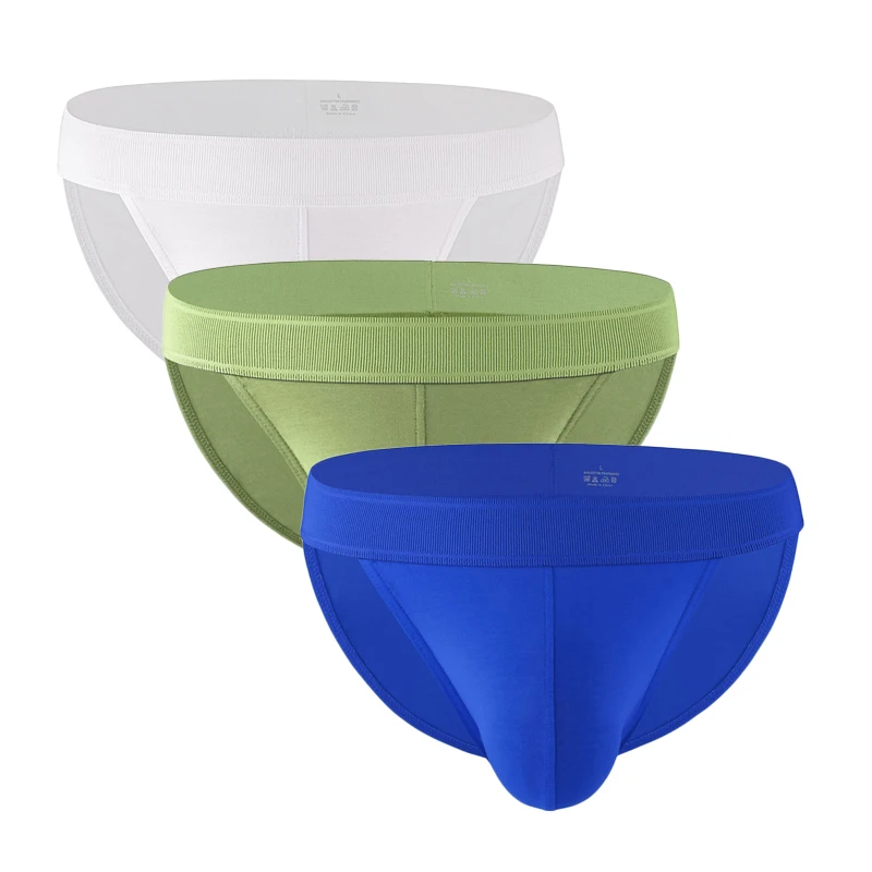 3PCS Underwear Men Briefs Cotton Low Waist Elastic Soft Breathable U-shaped Convex Men's Underpants Calzoncillos