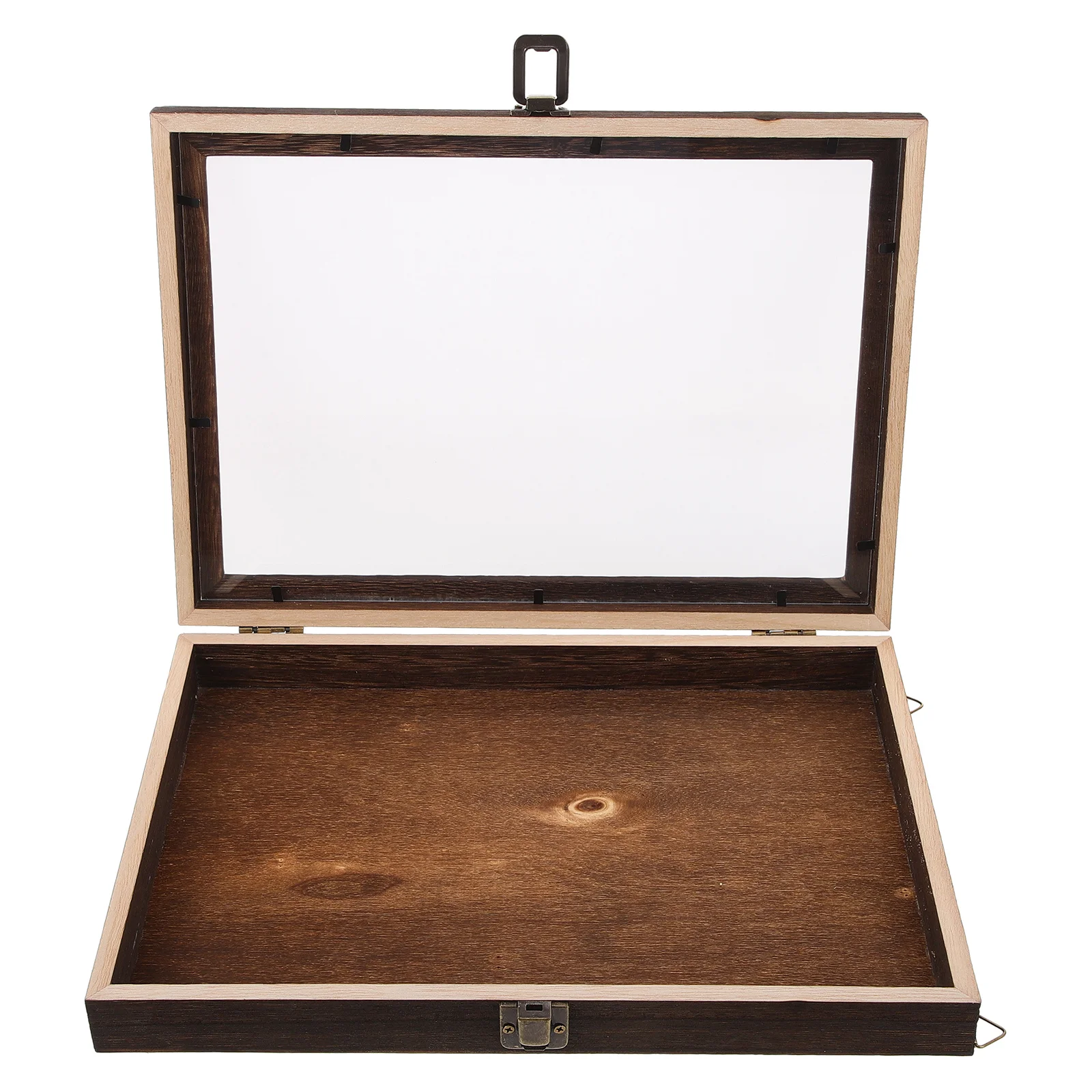 

Vintage Wooden Specimen Display Box For Butterflies Dried Flower Storage Wall Mounted Plant Case