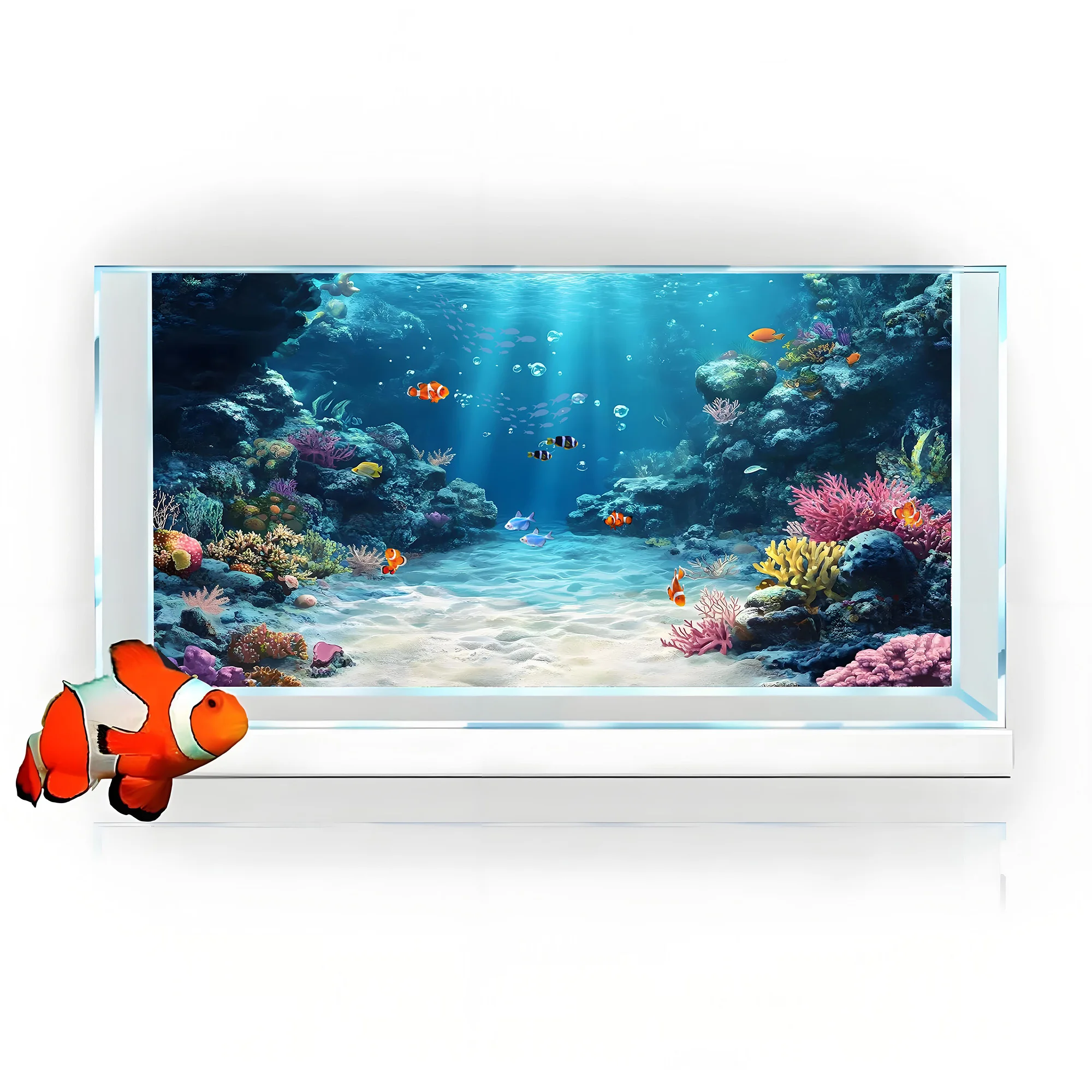 Rainbow Coral Reef，Fish tank b - Aquarium Fish Rainbow review and price