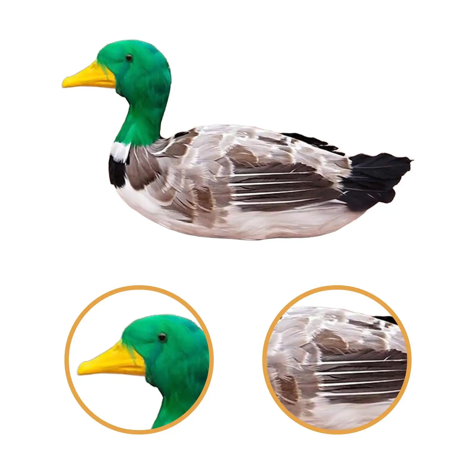 نموذج محاكاة البطة تمثال بطة محاكاة وهمية لتزيين المنزل في الفناء #5