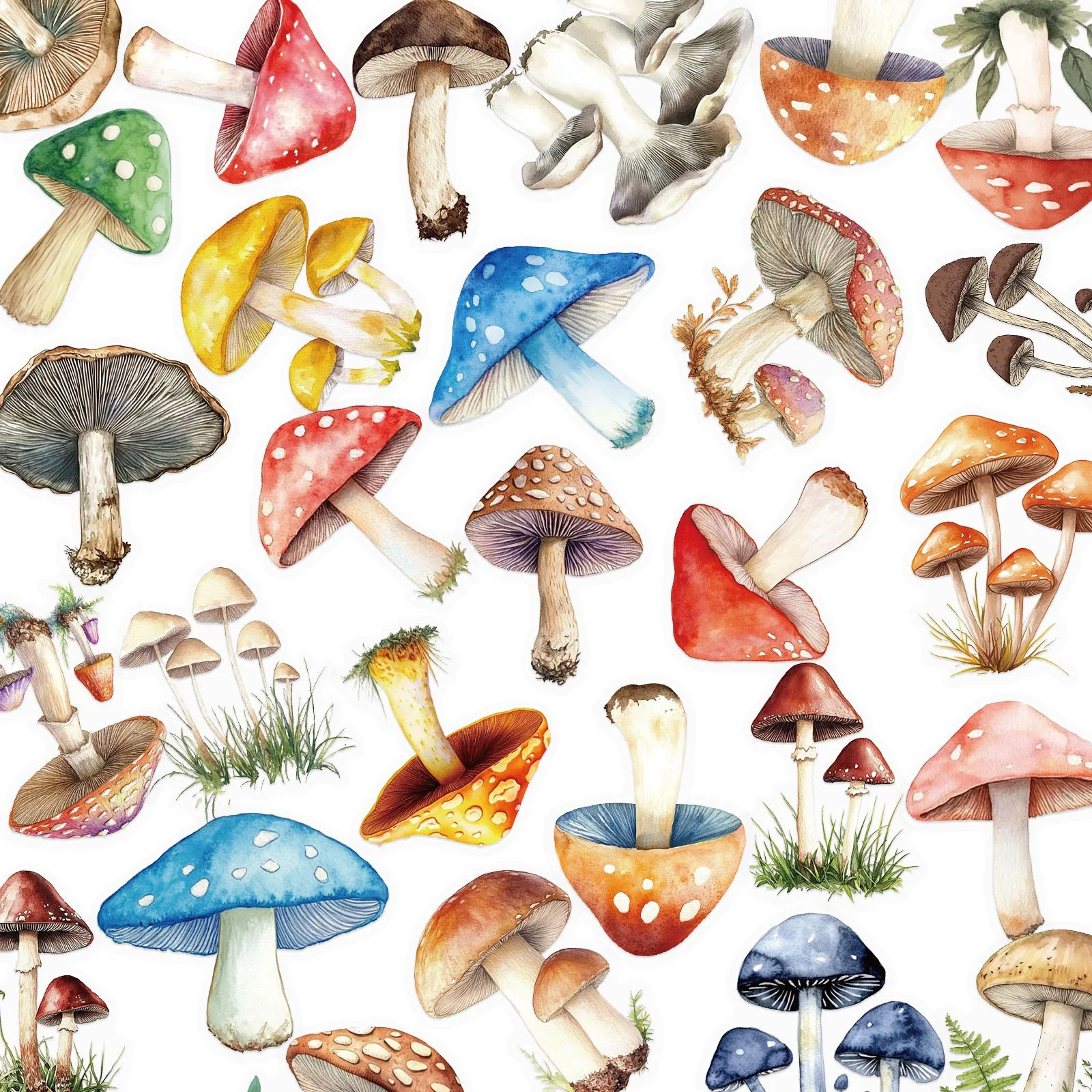 50Pcs Waterproof Clear PET Mushroom Stickers Cottagecore Botanical Aesthetic Decals for Phone Laptops Journal Scrapbook