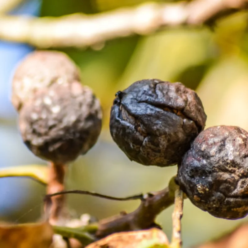 

Welding Wire Fixture Adjustable Bracket Welding Table Clamp For Motherboard Circuit Soldering Welding Locator Soldering Tools