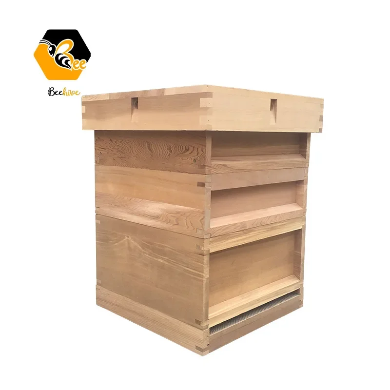 Wholesale 8 10 Frame 3 Layer New Zealand Pine red cedar Fir Wooden UK English British National Beehive Bee Hive with Metal Roof