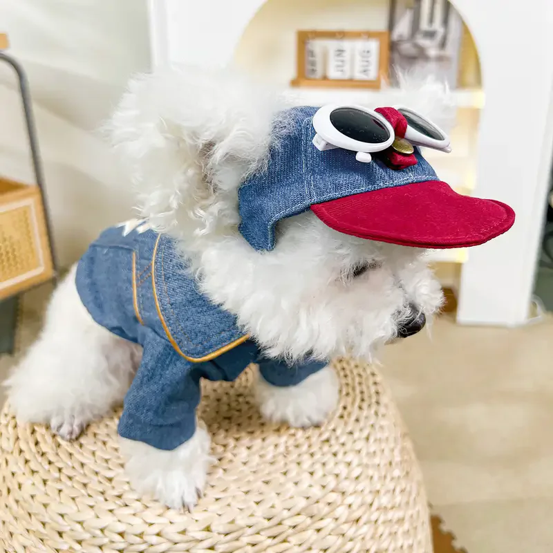 Hondenmode baseballpet met zon - Street Fashion Shoot recensie en prijs