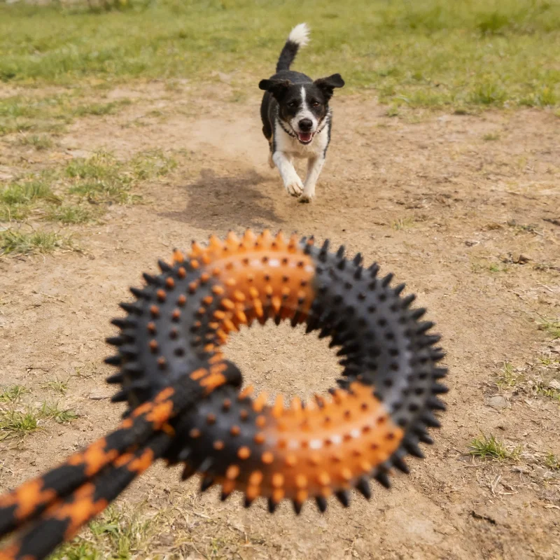 Thumbnail 2 - #43 Compare Dog Tug Toys Before You Buy