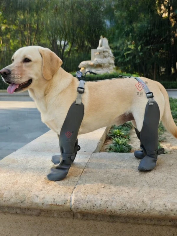 Full Silicone High Tube Dog Rain Boots Non-Slip Wear Resistant Waterproof Anti-Fall Pet Shoes Outdoor Walking Dustproof