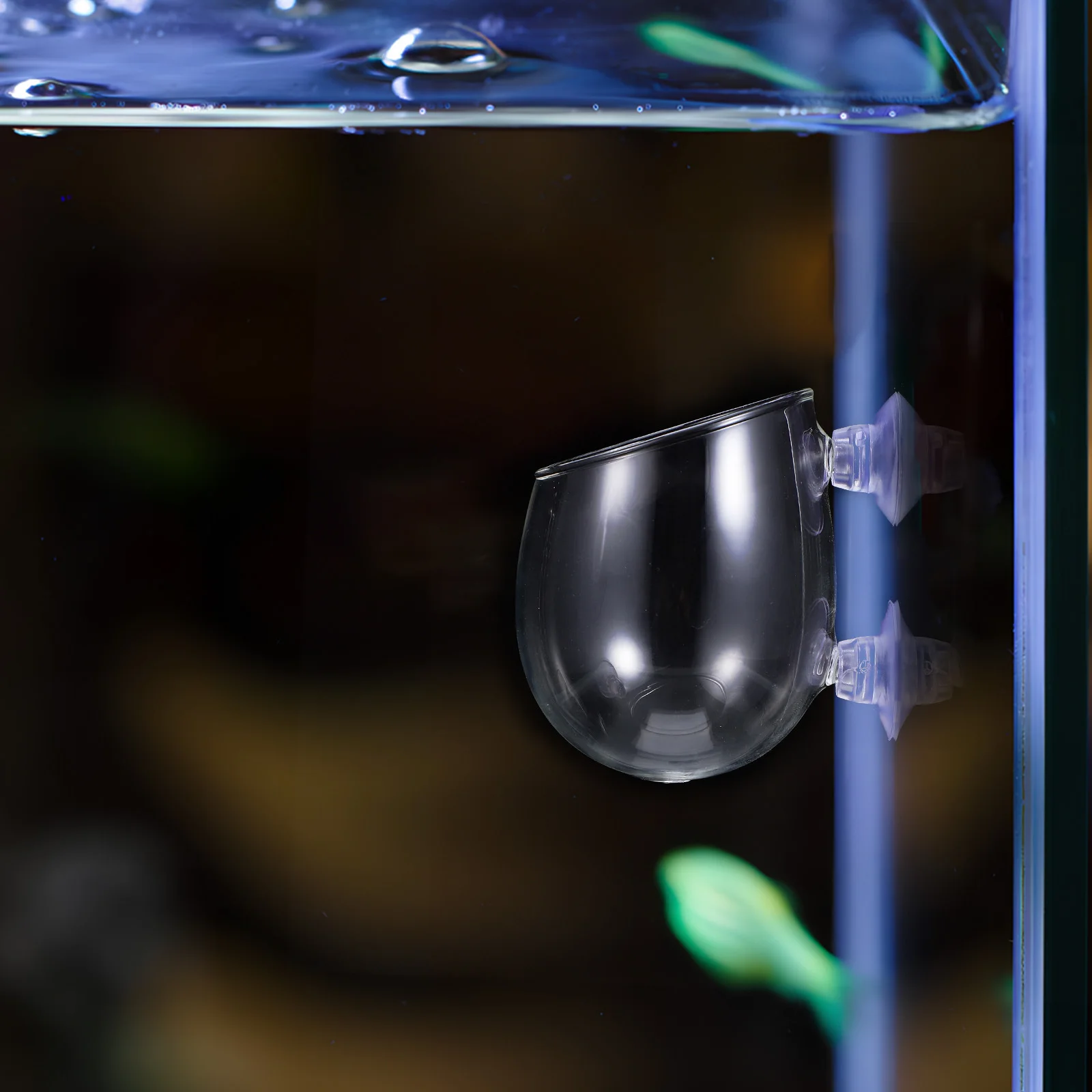 

2Pcs Aquatic Plant Holders Glass Planter Cups Fish Tank Wall Mounted Aquarium Decoration Suction Cups Aquarium Plant Holder