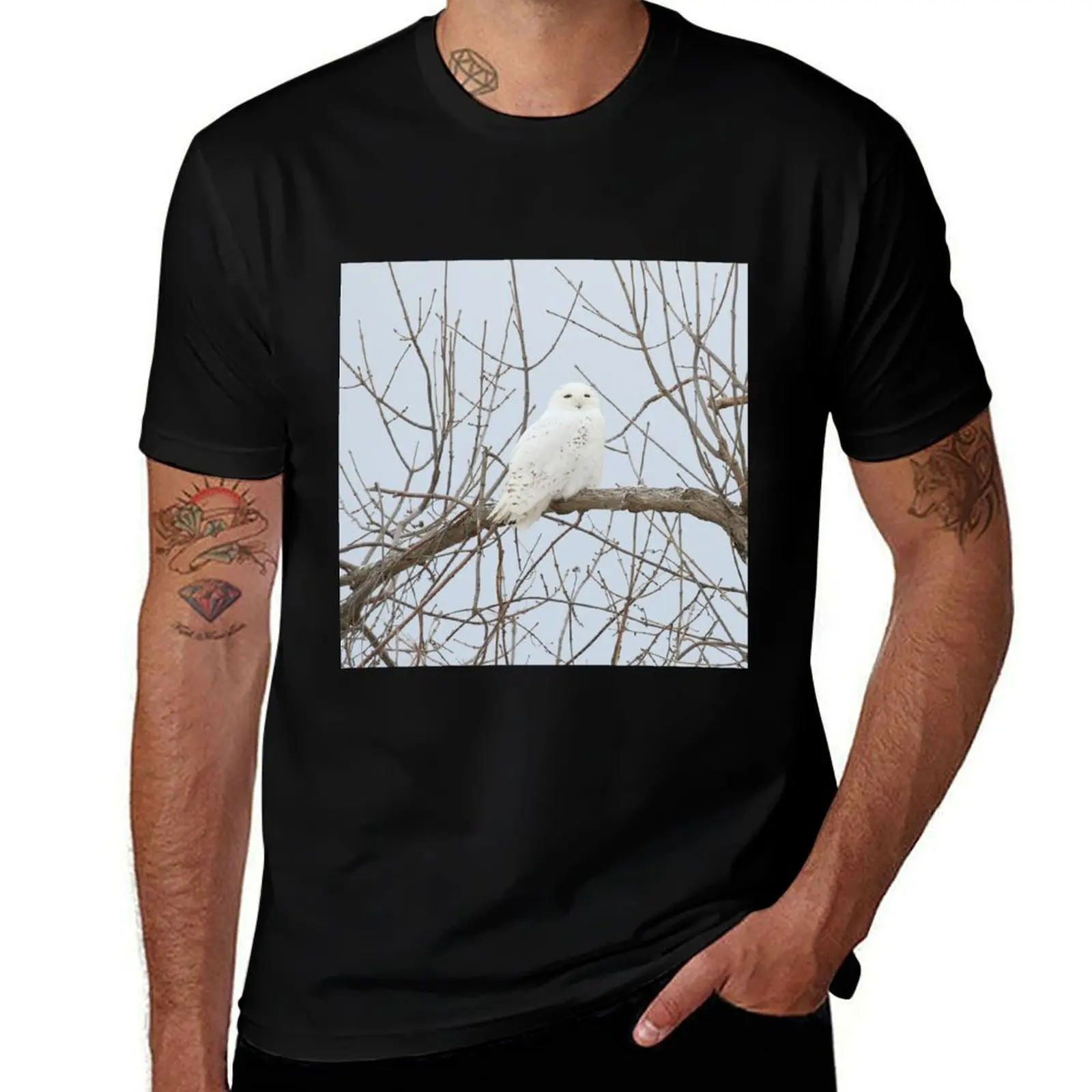 

Male Snowy Owl T-Shirt anime t shirts Personalized t-shirt tshirts personalised cotton graphic tees mens fashion