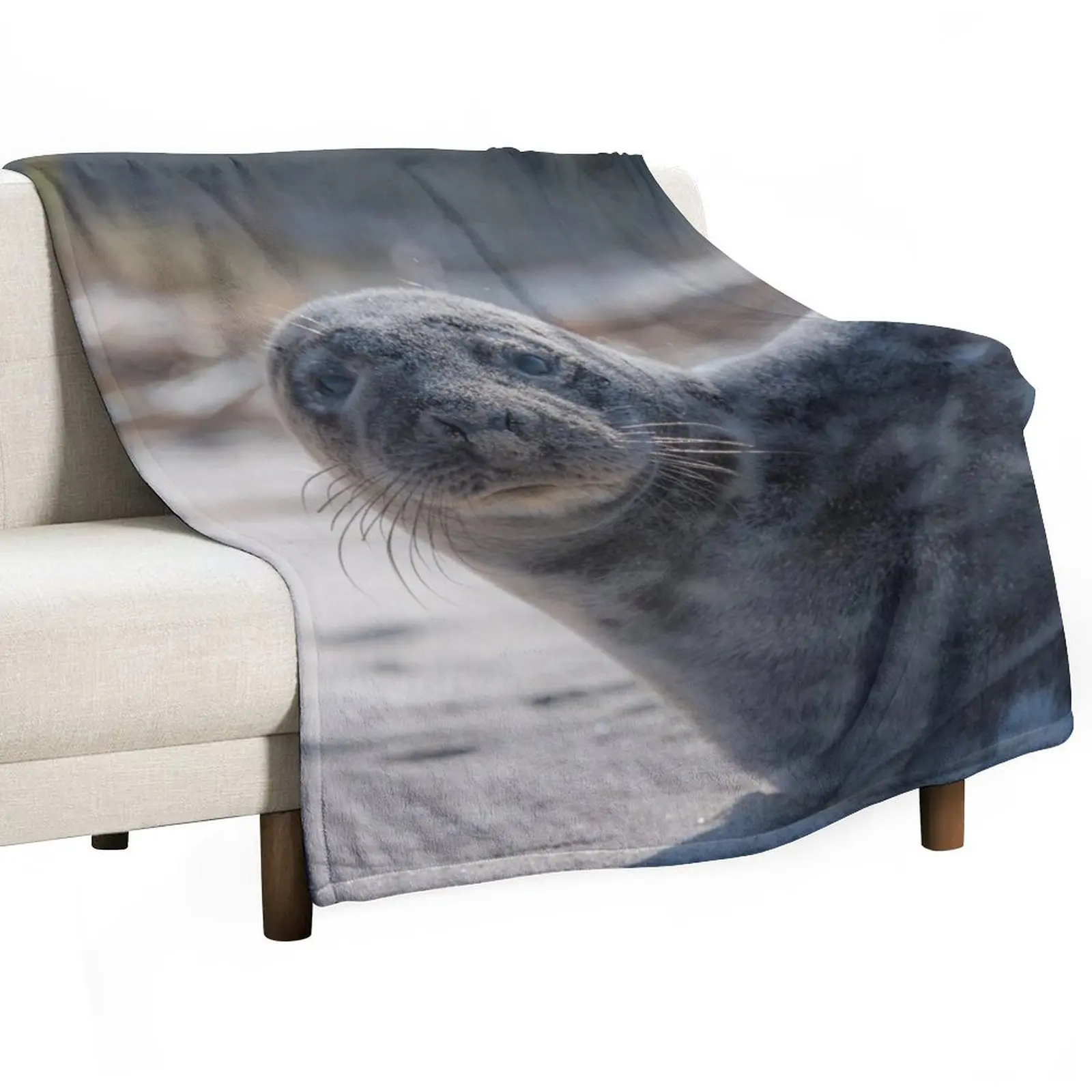Sweet Baby Seal on a Beach Looking At You with Big Eyes Throw Blanket for sofa Single Picnic Beach Blankets For Baby Blankets