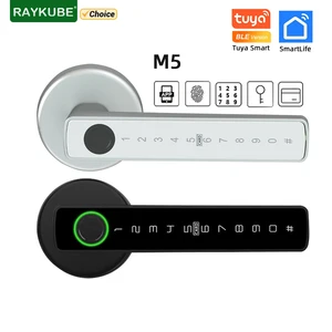 Raykube-Digital Print Door, Digital Electronic Password Lock, IC Card, SmartLife, Tuya App Unlocked, M5 Tuya Ble 10 Main Sales Digital Locking Door - №4