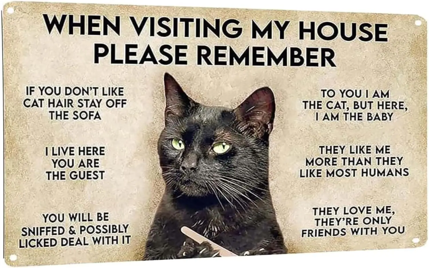 Vintage Metal Sign Funny Sarcastic Party Wall Art Decor Signs Cat Metal Sign When Visiting My House Please Remember Aluminum Sig