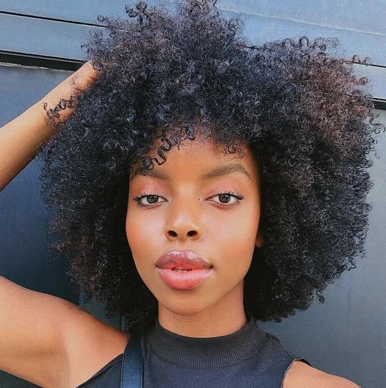 Afro Kinky Curly Wig Human Hair Short Wig For Women Human Hair 100% Natural Hair