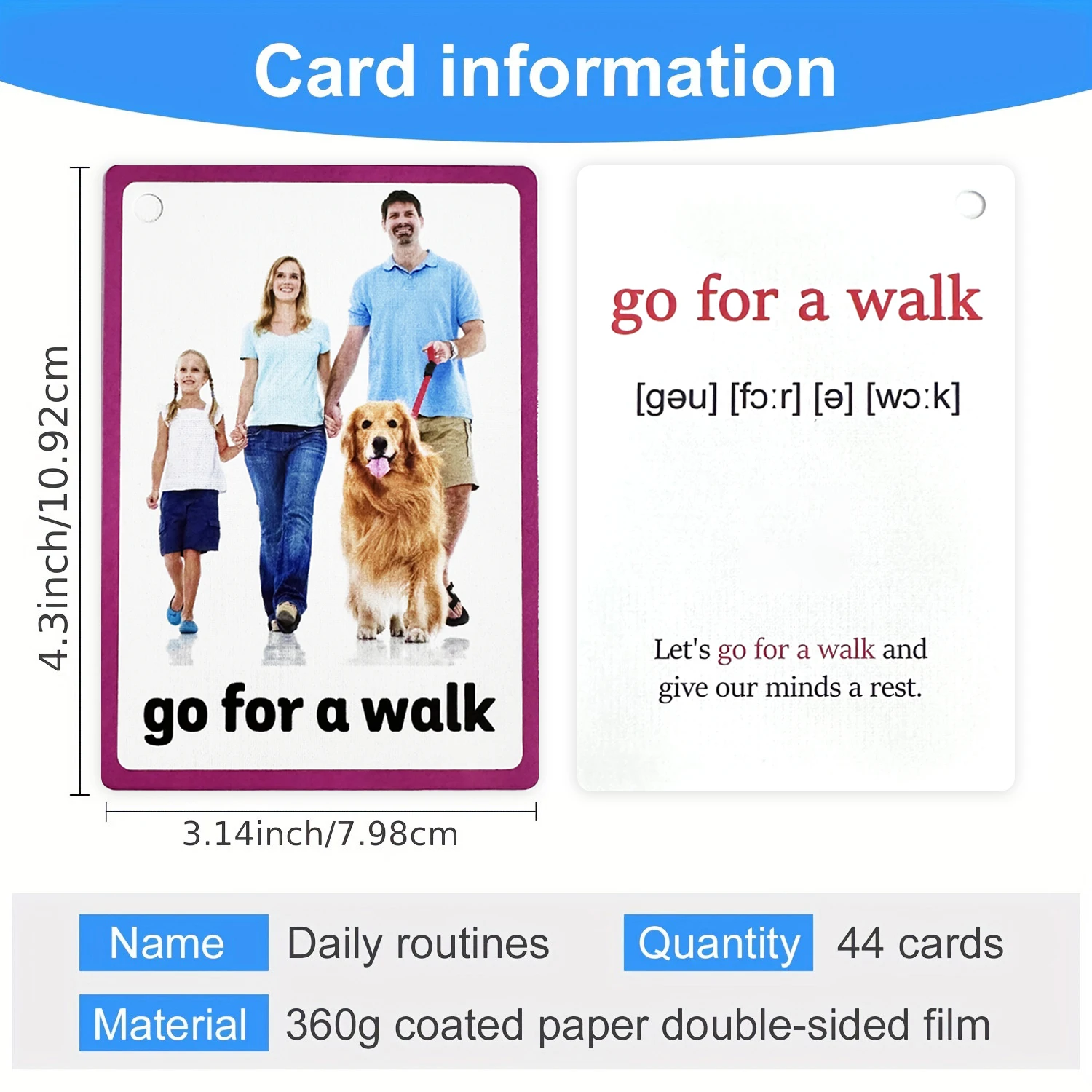 Daily Routines Montessori Flash Cards for Kids Ages 2-6 Waterproof Routine Management English Vocabulary Educational Toys