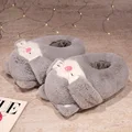 gray cat
