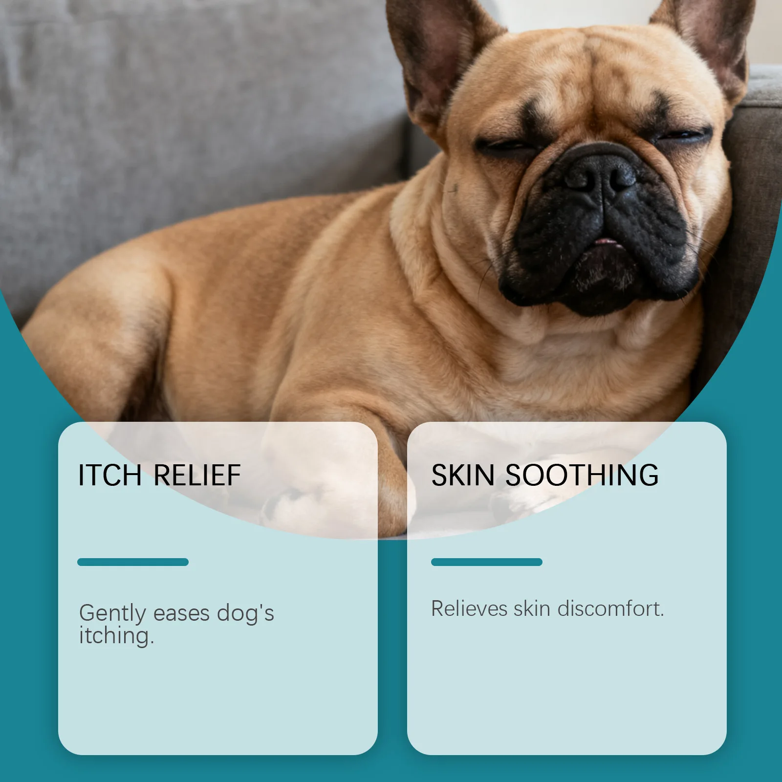 Yegbong Haustier-Hautpflegespray Beruhigt Rötungen Sanfte Formel Nicht-Reizende Linderung bei Trockenheit Hunde Katzen Empfindliche Haut Pflegespray 50ml – Detail 10