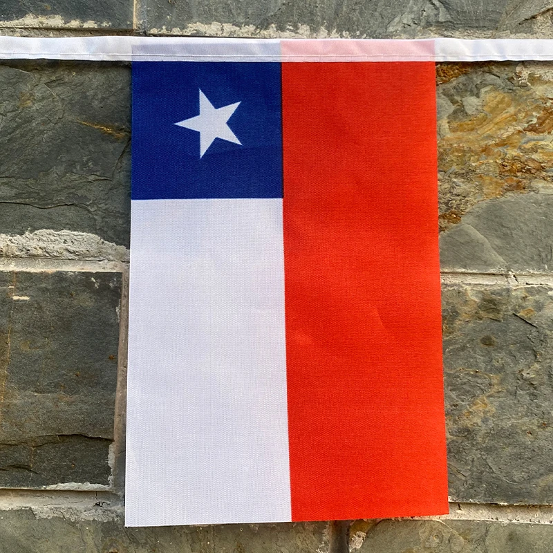 EOODLOVE-Bandera de la República de Chile, banderas decorativas colgantes para interiores y exteriores, poliéster de alta calidad, tamaño 20, 14x21cm