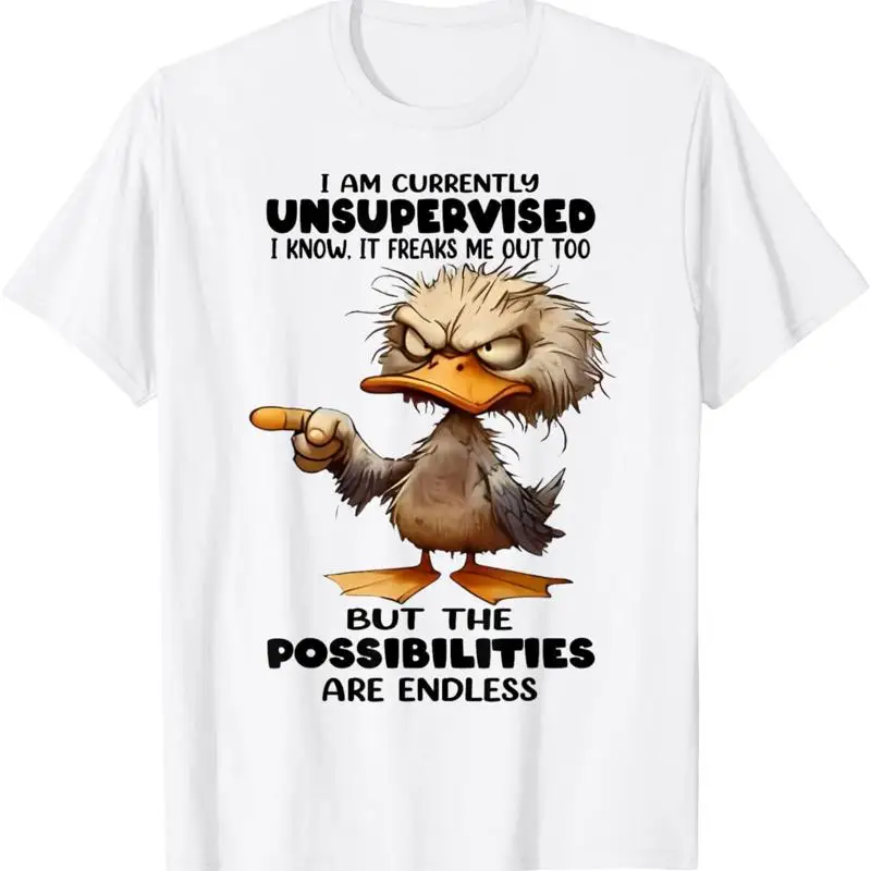 Duck I Am Currently…