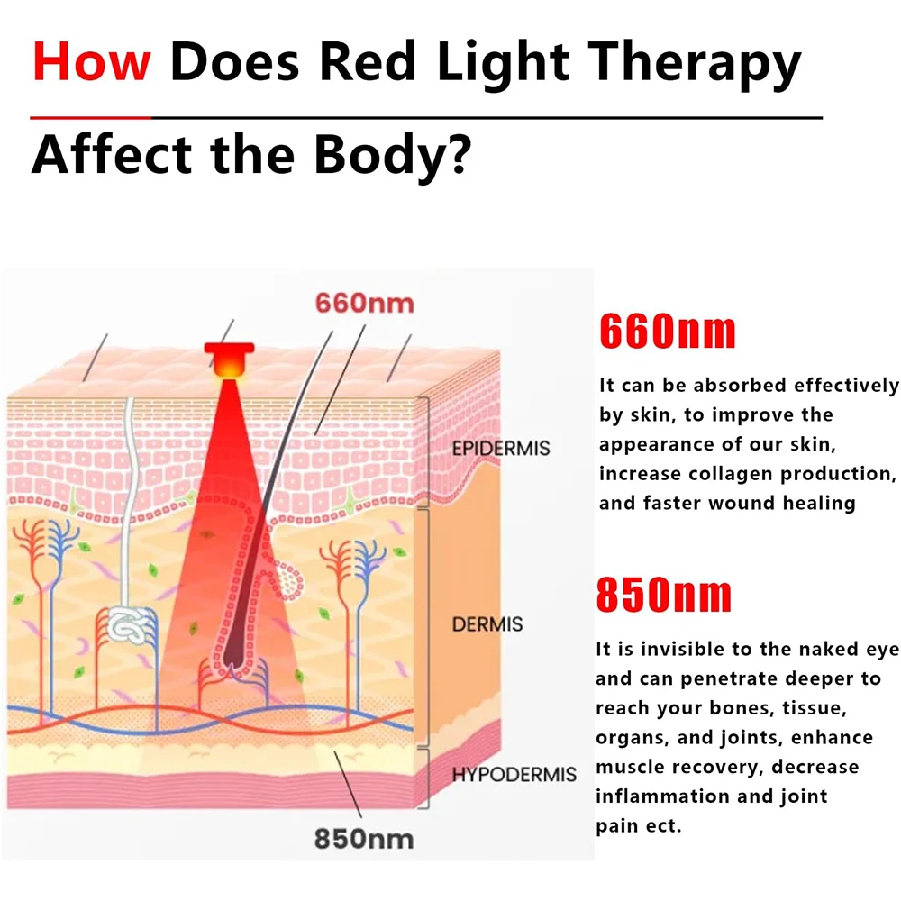 Red Light Therapy for Pets Vet Device Handheld Infrared Light with 660nm 850nm Pain Relief Speed Up Wound Recovery&Skin