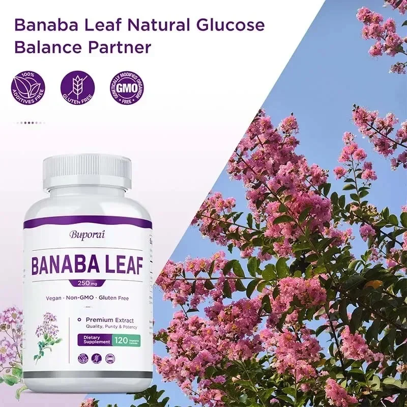 바나바 잎 - 스트레스와 불안 감소, 활력 증진, 건강한 혈중 수치, 전반적인 건강 유지, 면역력 향상